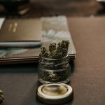 cannabis cannabis weed pot marijuana drugs