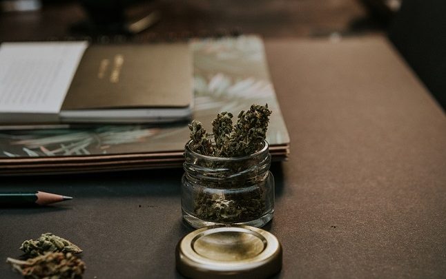 cannabis photo