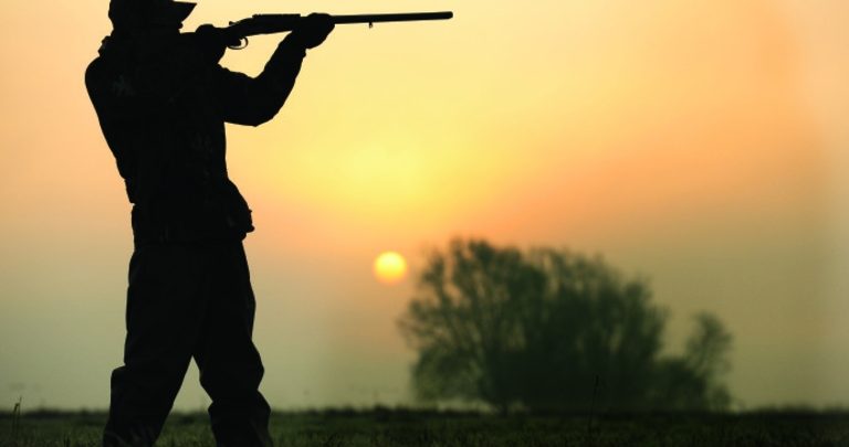 hunting