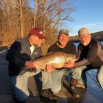 Crews brown trout