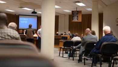 Photo of Council to consider lodging rules, feral cat ordinance Monday night
