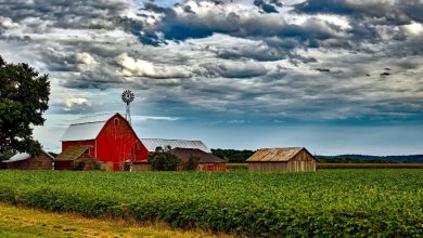 Photo of Governor celebrates National Agriculture Week in Missouri