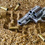 firearm