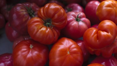 Photo of Neosho Farmers’ Market calling for new vendors