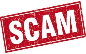 Bailey warns baseball fans to look out for scammers