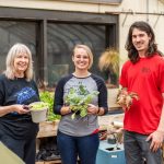 hydroponics