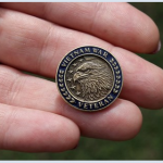 Vietnam pin