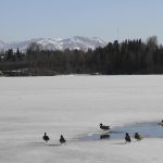 Alaska