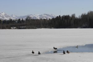 Alaska