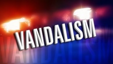 Photo of Cemetery Vandals Captured