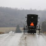 Buggy car crashes