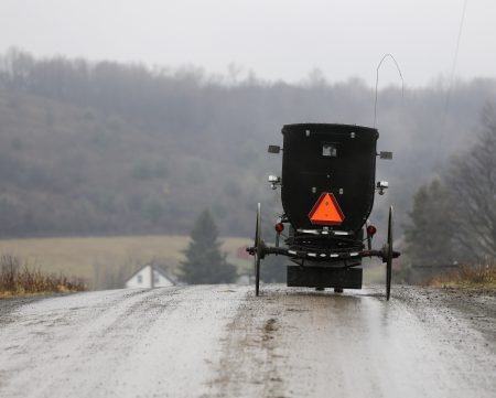 Woman in buggy dies when hit by car in Morgan County