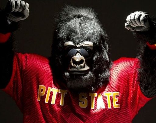 Pitt state gorilla