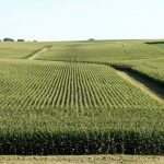 farmers