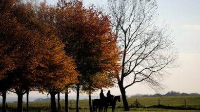 Photo of Blunt, Wagner announce legislation to honor Ulysses S. Grant
