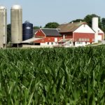 farm