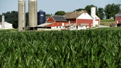 Photo of Missouri Lawmakers fail to limit foreign owner ship of agricultural land
