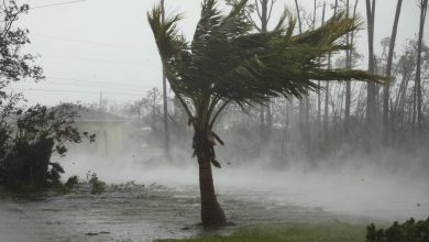 Photo of Missourians Headed To Coast To Offer Hurricane Relief