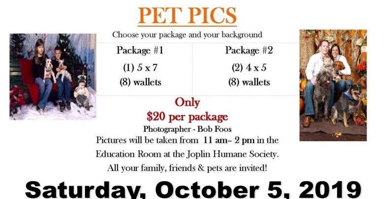 Humane society pet pics