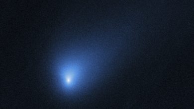 Photo of The hunt for a space rock