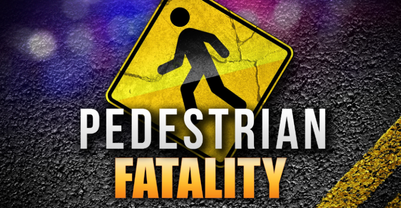 Pedestrian+fatality