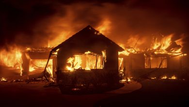 Photo of Thanksgiving Kicks Off “Fire Season”
