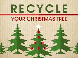 Photo of Joplin drop off points for discarded natural Christmas trees