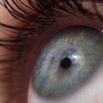 Eyes