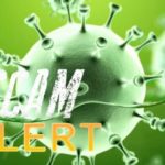 scam-alert