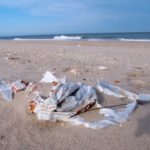 New jersey beach trash