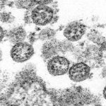 Virus outbreak kids rare syndrome