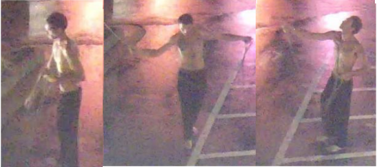 Flag thief