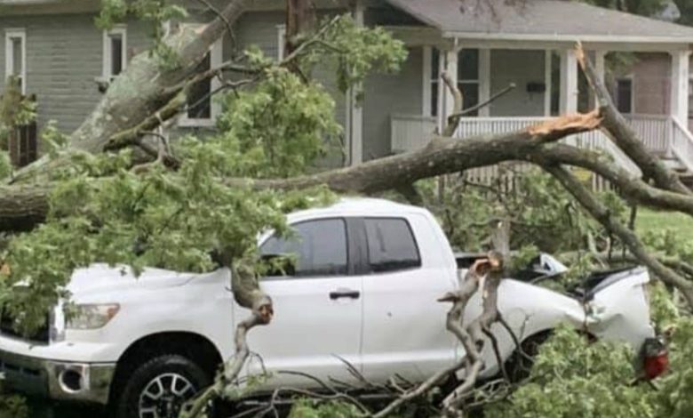 Storm damage1