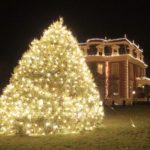 Gov xmas tree