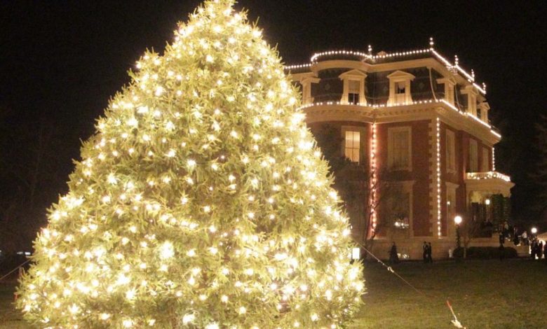 Gov xmas tree