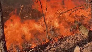 Photo of Small Missouri town ‘devastated’ by wildfire Saturday
