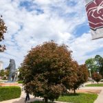 Msu