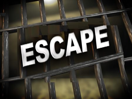 Woman sentenced for helping sex offender escape