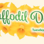 Daffodil3