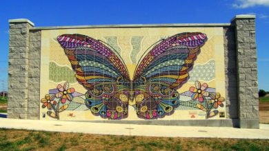 Photo of Special showings of local documentary “The Butterfly People”