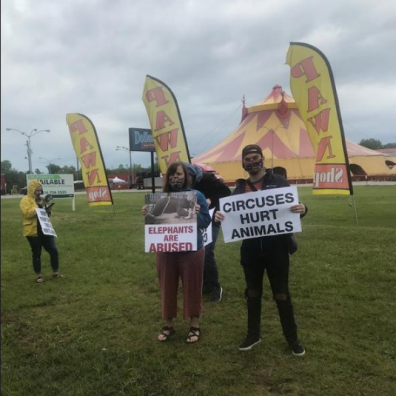 Circus protest