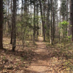 Trail