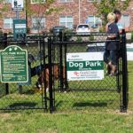 07 07 21 dog park picture 20210707 100347