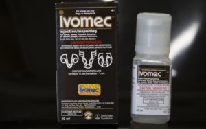 Ivermectin