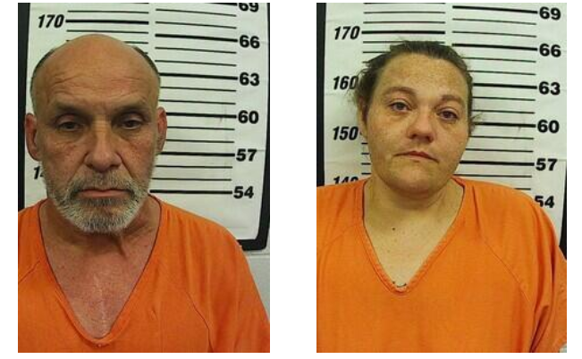 Galena burglars