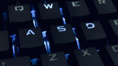 Photo of At least three teachers’ SSNs viewed during Missouri DESE website breach
