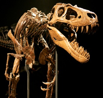 Cannibal dinosaur