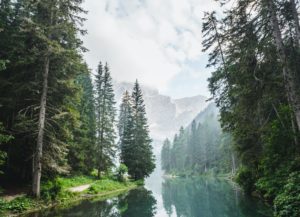 Mark Twain National Forest Recreation Area fee changes