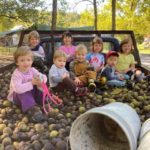 Walnuts