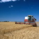 Kansas agriculture